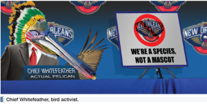 pelican