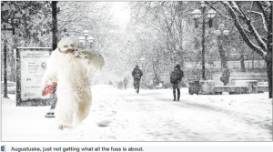 snow